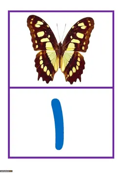 کارت اعداد 1