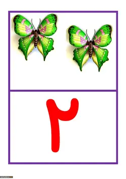 کارت اعداد 1