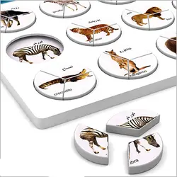 هوش چین 3 تیکه مجموعه