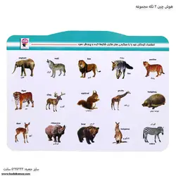 هوش چین 2 تکه مجموعه