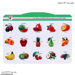 هوش چین 2 تکه مجموعه