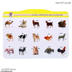 هوش چین 2 تکه مجموعه