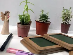 تخته سیاه سایز 10*13 koala accessories