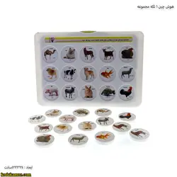 هوش چین 1 تکه مجموعه