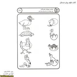 کتاب علوم پیش دبستانی 