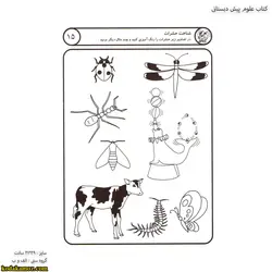 کتاب علوم پیش دبستانی 