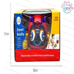 82721 کفشدوزک موزيکال هولي تويز - Smart Beetle