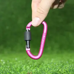 کارابین پیچی