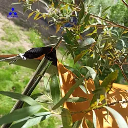 ستون دانانیک S3