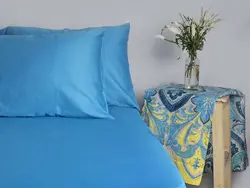 سرویس ملحفه یکنفره  2 تکه کشدار طرح ماهمون آبی - لایکو