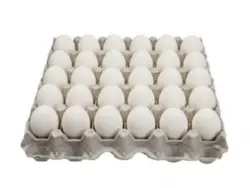 شانه تخم مرغ بسته 30 عددی