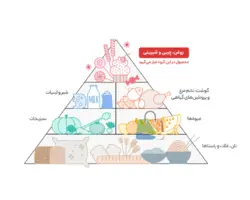 نوشابه گاز دار قوطی ایرانی با طعم کولا پپسی - 330 میلی لیتر بسته 6 عددی
