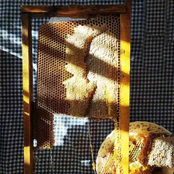 عسل موم دار - لیمونار | به خوشمزگی دونه های انار