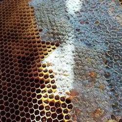 عسل موم دار - لیمونار | به خوشمزگی دونه های انار