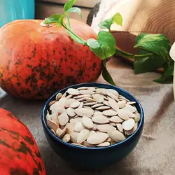 تخمه کدو خام