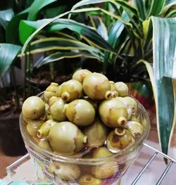 ترشی سپستان 400گرمی