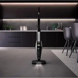 جارو شارژی آاگ AEG مدل CX8-60-OKO