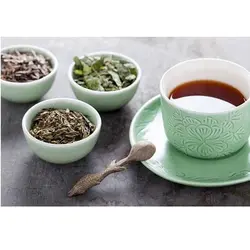 چای ساز کویین هوم همراه با دمنوش ساز مدل QH-8050