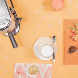 اسپرسوساز خانگی گاستروبک Gastroback مدل 42717