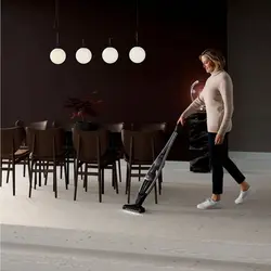 جارو شارژی الکترولوکس ELECTROLUX مدل PQ91-ANIMA