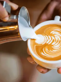 پیچر موتا ظرفیت ۵۰۰ میل سبز