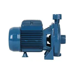 پمپ پنتاکس 2 اسب سانتریفیوژ دو پروانه مدل CB210/01 IR