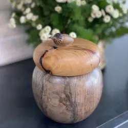 جا شکلات طرح بلوط چوب گردو کد kn65