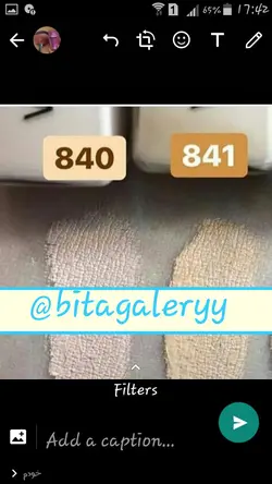 کانسیلر وت اند وایلد مدل فتوفوکوس - ماها کازمتیک