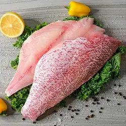ماهی چمن تازه جنوب