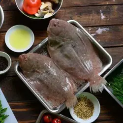 ماهی کفشک تازه جنوب