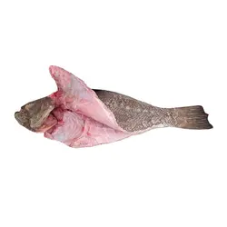 ماهی کفشک تازه جنوب