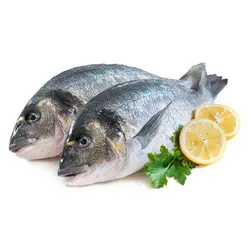 ماهی صبیتی تازه جنوب