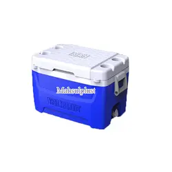 یخدان 60 لیتری کیش ترموس