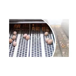 نوار جمع آوری تخم مرغ آشیانه