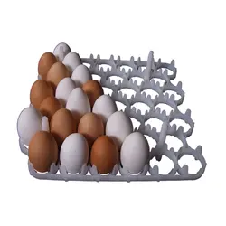 شانه تخم مرغ دستگاه جوجه کشی 42 عددی پارس مدل PT-402