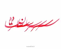 مرکب قرمز روشن ساج کد 5