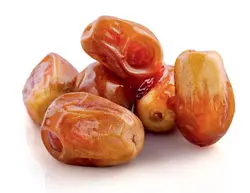 پاجوش نخل خرما زاهدی