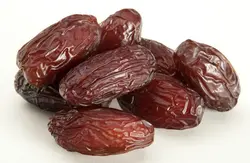 پاجوش نخل خرما مجول