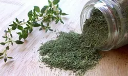 بذر آویشن باغی