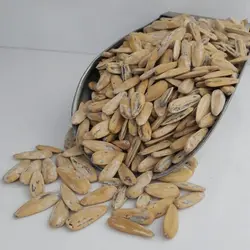 بذر تخمه آفتابگردان سناتور