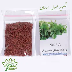 بذر شنبلیله
