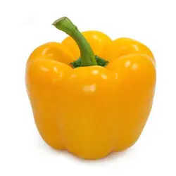 بذر فلفل دلمه ای زرد