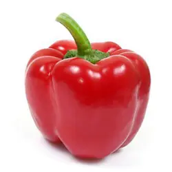 بذر فلفل دلمه ای قرمز