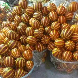 بذر خربزه ی مینیاتوری ببری (دستنبو)