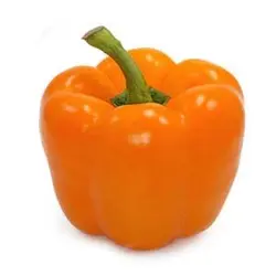 بذر فلفل دلمه ای نارنجی