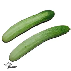 بذر خیار درختی محلی معطر بزرگ