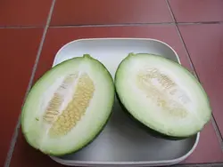 بذر خیار گرد سبز