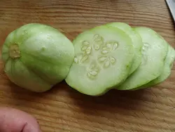 بذر خیار گرد سبز