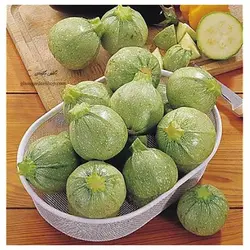 بذر کدو خورشتی دلمه ای سبز روشن