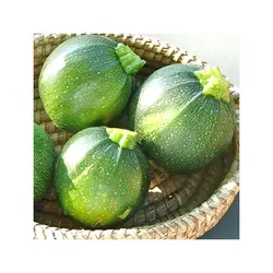 بذر کدو خورشتی دلمه ای سبز روشن